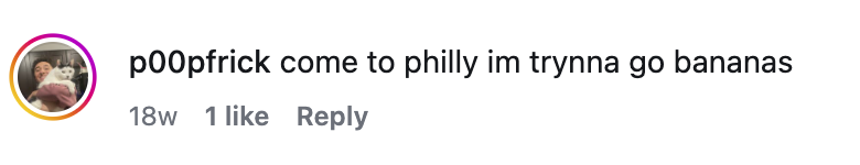 Instagram comment: come to philly im trynna go bananas