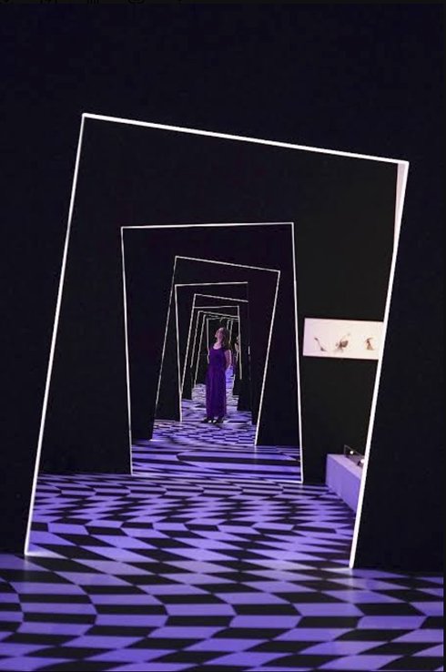 Mirrored hallway installation